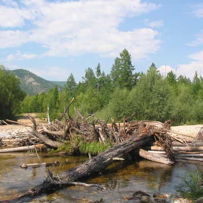 Байкал 2005