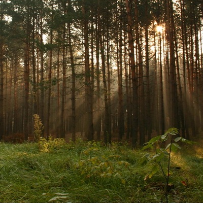 Черкассы, Осень 2005