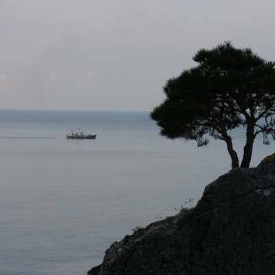 2006, весна. Крым. Севастополь - Крымские Горы - Феодосия - Ленино