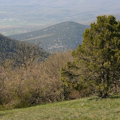 2006, весна. Крым. Севастополь - Крымские Горы - Феодосия - Ленино