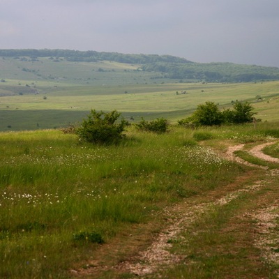 Крым, Караби. Лето 2006