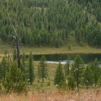 Алтай 2006
