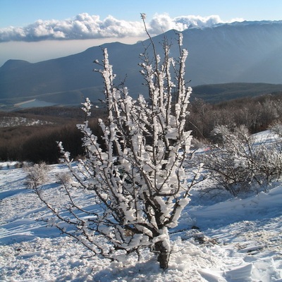 Встреча нового года 2007 в крыму