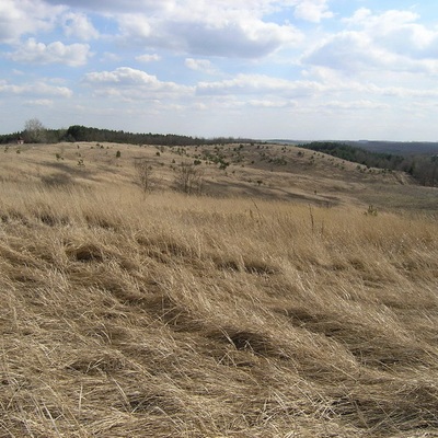 Трахтемиров, весна 2007