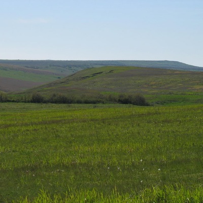 Крым 2007 <в кавычках>