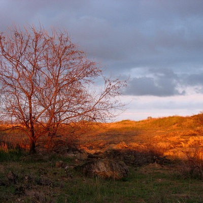 Крым 2007 <в кавычках>