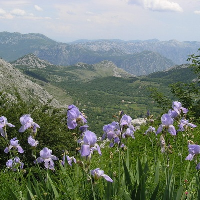 Черногория, весна-лето 2007