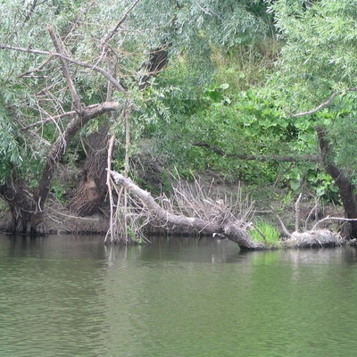 Водный поход по реке Сейм