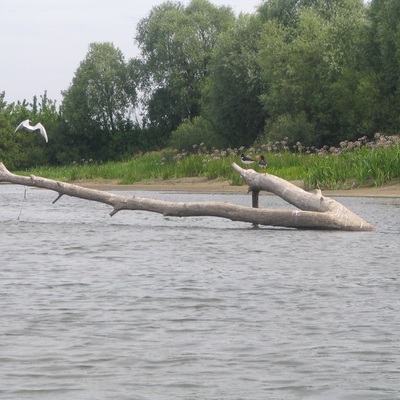 Водный поход по реке Сейм