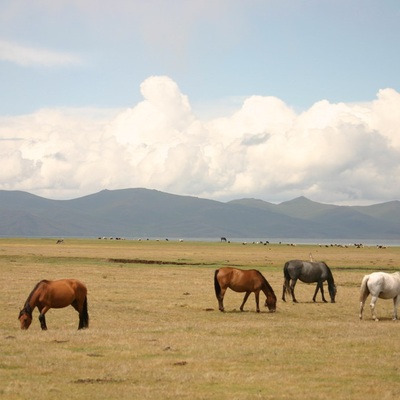 Тянь-Шань Киргизия 2007