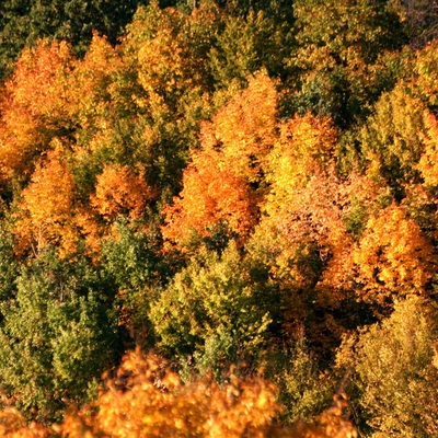 Денеши осенью. Взгляд из-под веревки.