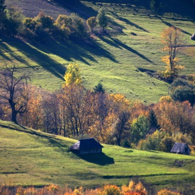 Справжня казка