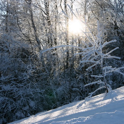 Тростян, декабрь 2007