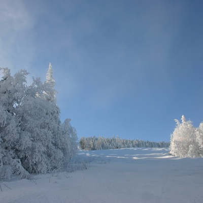 Тростян, декабрь 2007