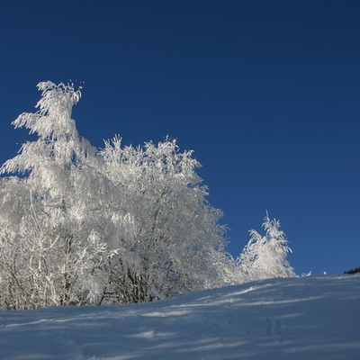 Тростян, декабрь 2007