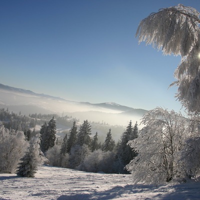 Тростян, декабрь 2007