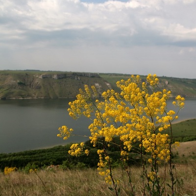 Подольские Товтры, Бакота 2009