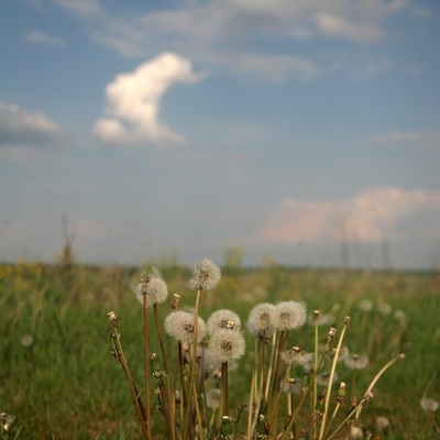 Подольские Товтры, Бакота 2009