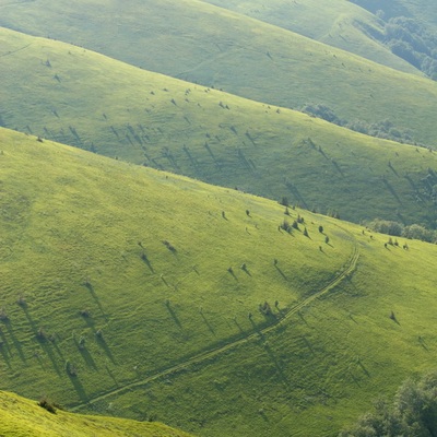 Карпаты, Справжня Казка