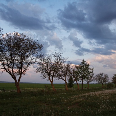 Подольские Товтры, Бакота 2009