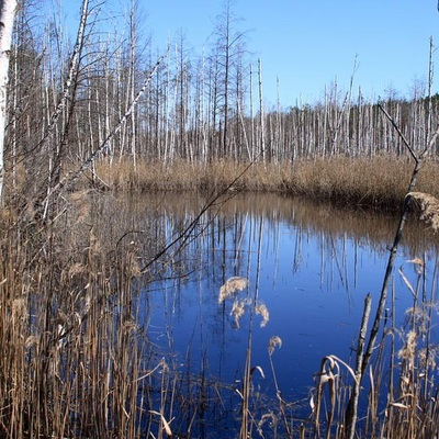 Каменное село