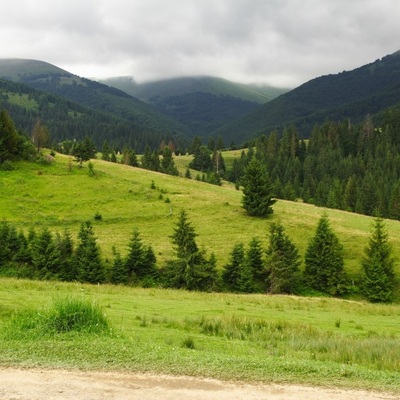 Справжня казка. Лето 2009