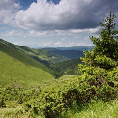 Свидовец-Горганы