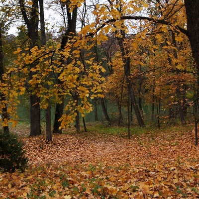 Чернигов - Тростянец, Осень 2009