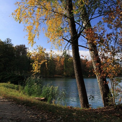 Чернигов - Тростянец, Осень 2009