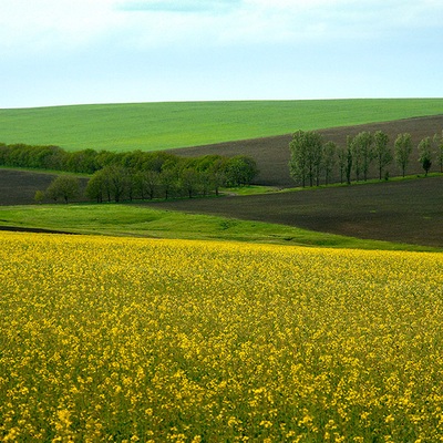 Україна – Молдова 3 к.с.