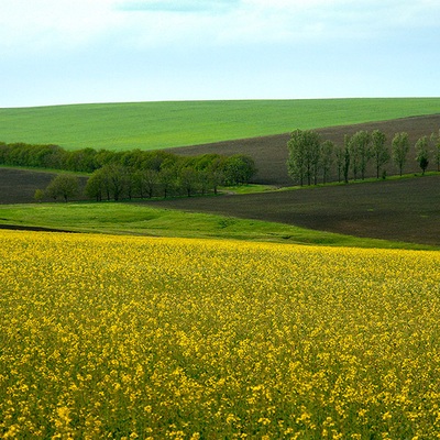 Україна – Молдова 3 к.с.