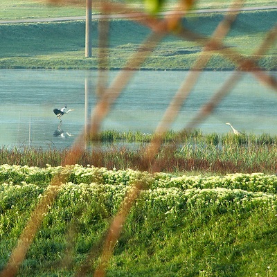 Україна – Молдова 3 к.с.