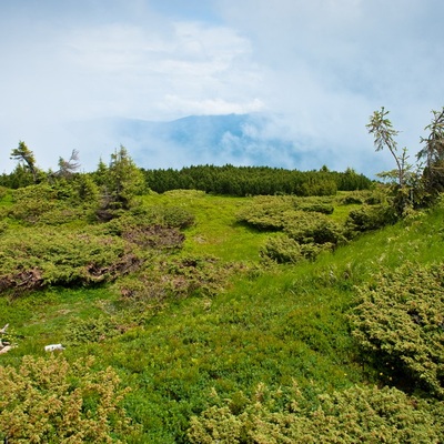 Мокрый Свидовец 2010