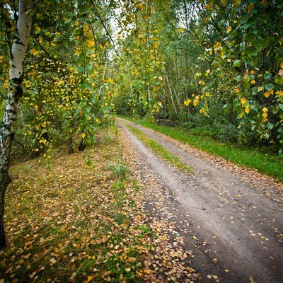 Леса и Озера Коростеня