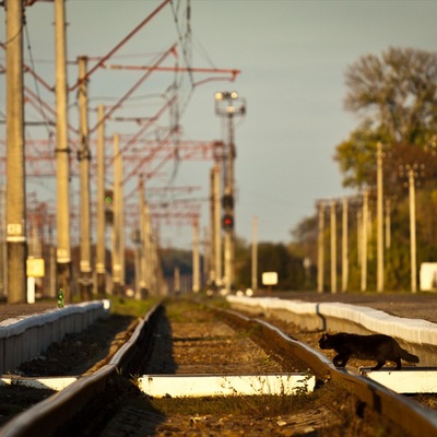 Велопокатушка в село Красне