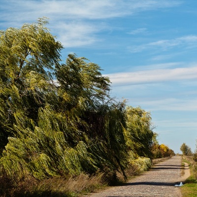 Велопокатушка в село Красне