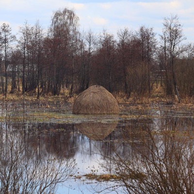 Поліська вузькоколійка (2010)