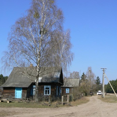 Поліська вузькоколійка (2010)