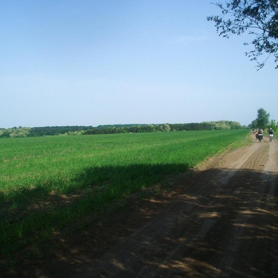 Киев-Черкассы (2007)