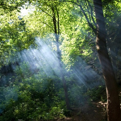 Алтай, Катунські білки (2008)