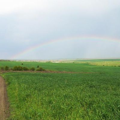 Молдова (2014)