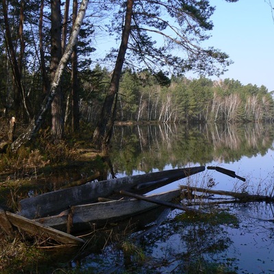 Поліська вузькоколійка (2010)