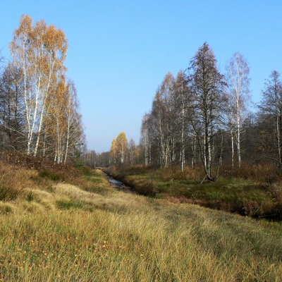 Незвідане Полісся (2013)