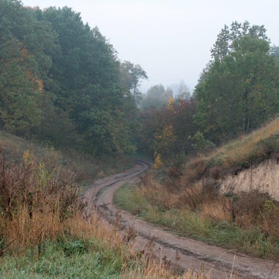 Золота осінь у Київській обл. (2007)