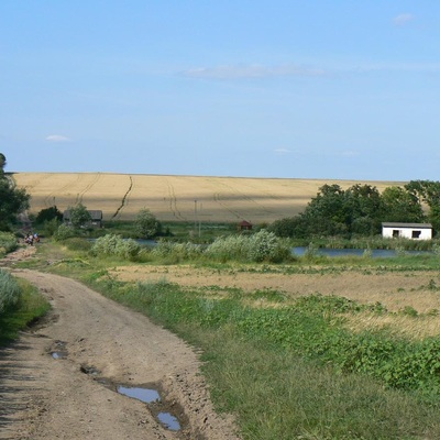 Стрий – Жмеринка (2013)