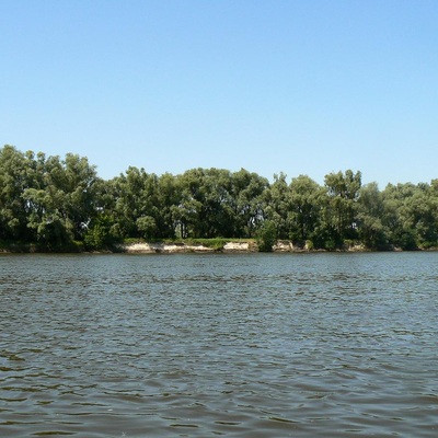 Жукин – Десна – Київ (2009)