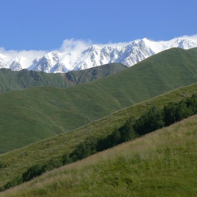 Грузія (2011)