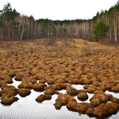 Великодне Полісся (2012)