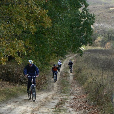 Голосіївські покотенькі