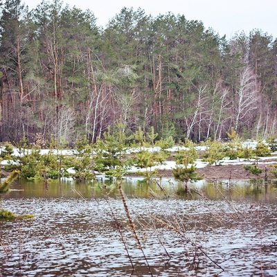 Турецькі тренування (2013)